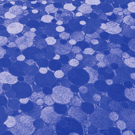 Champagne Bubbles Royal Blue